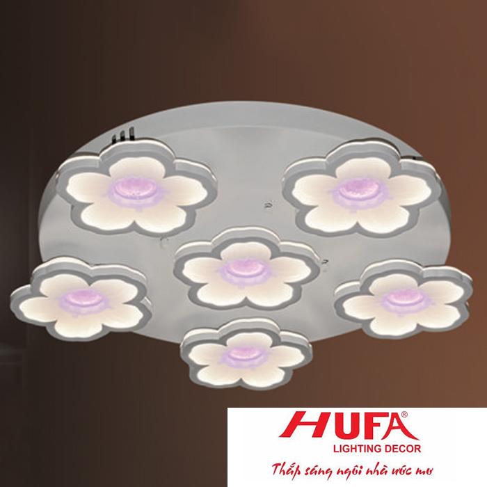 denledhufa-com-cy-8631-cy-8631