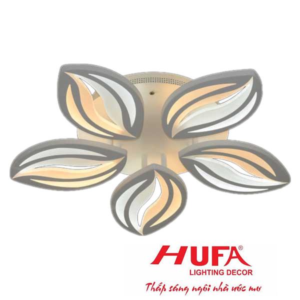 denledhufa-com-cy86005-cy86005